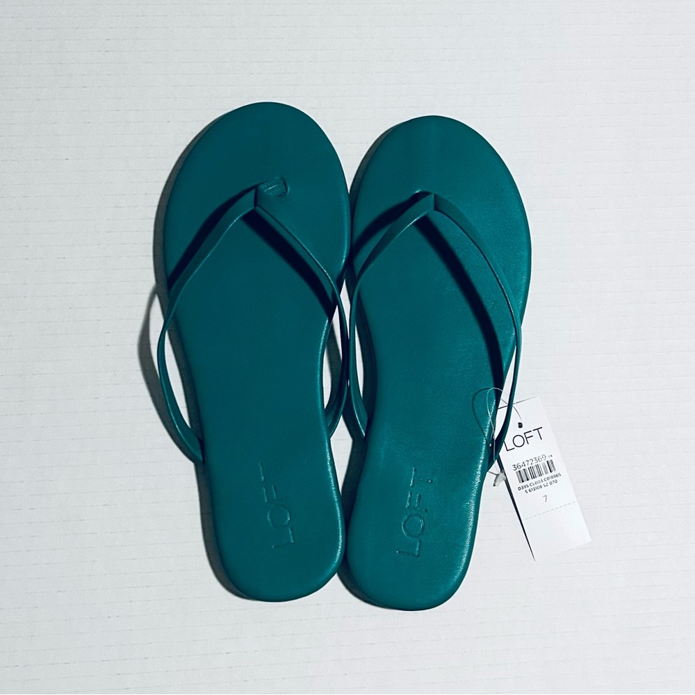 NWT LOFT Women’s Green Flip Flops